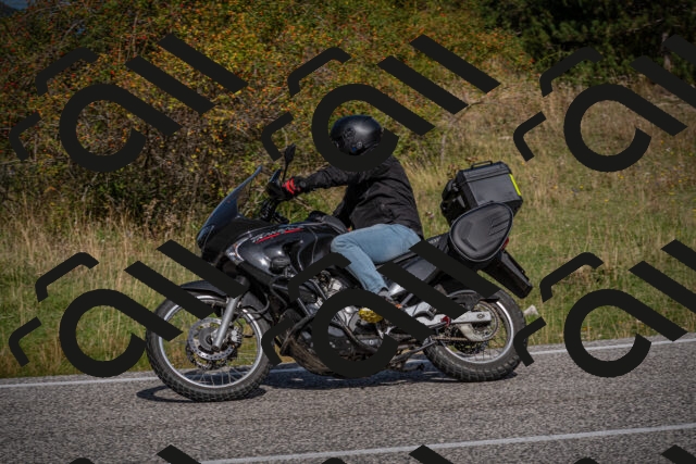 20250907110414-_5003307_am_