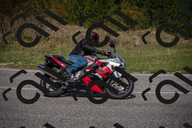 20250907111354-_5003498_am_