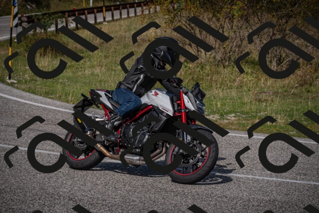 20250907111716-_5003584_am_