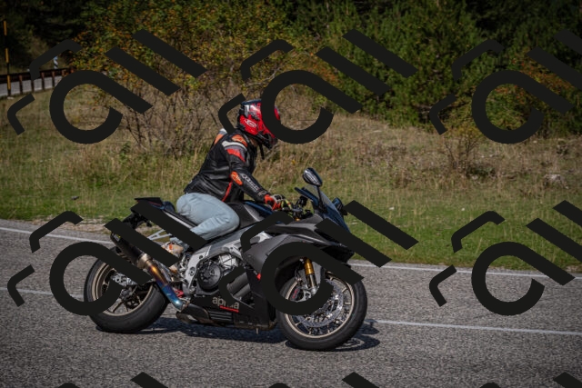 20250907111718-_5003588_am_