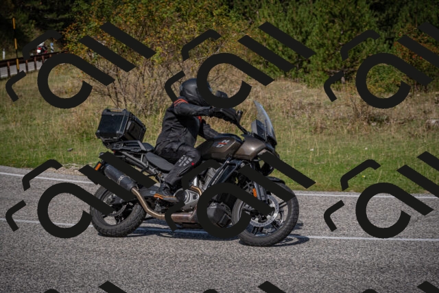 20250907111756-_5003613_am_