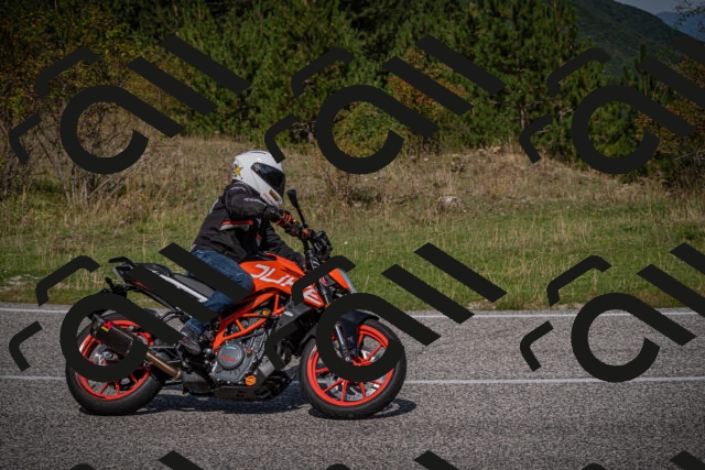 20250907111757-_5003614_am_