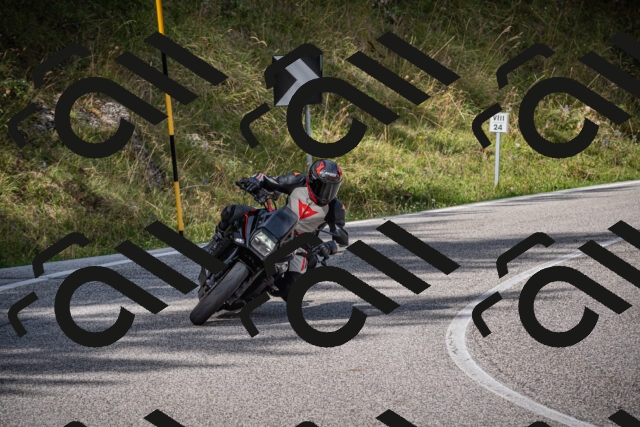 20250907112306-_5003699_am_