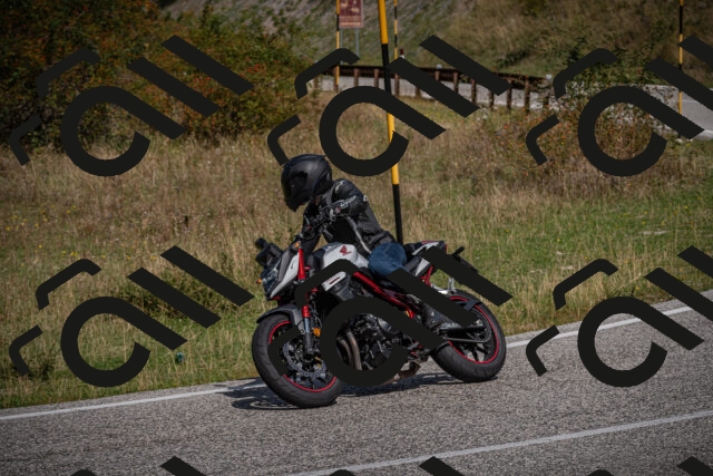 20250907113612-_5003881_am_