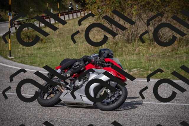 20250907114942-_5004202_am_