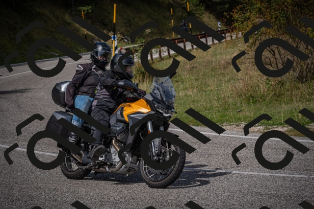 20250907115045-_5004234_am_