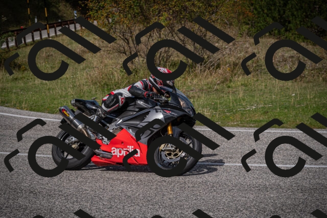 20250907115203-_5004280_am_