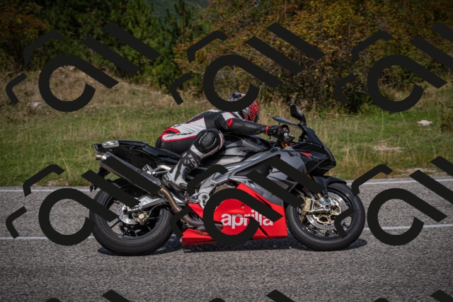 20250907115204-_5004281_am_