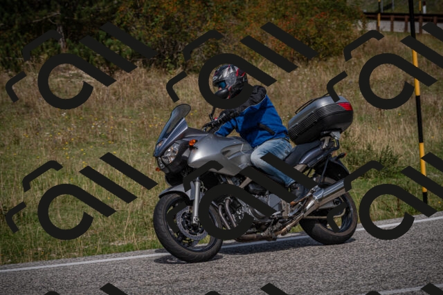 20250907121500-_5004762_am_