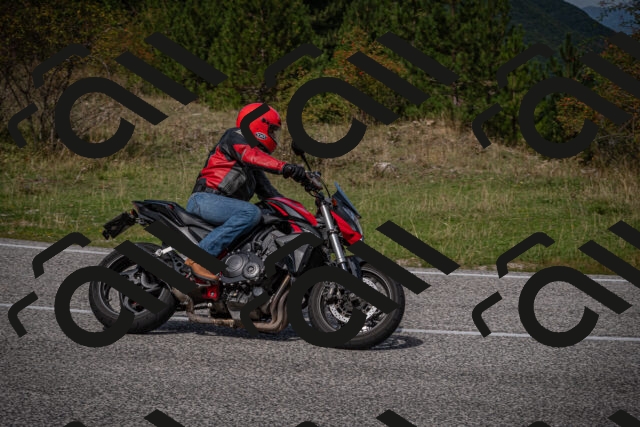 20250907121505-_5004769_am_