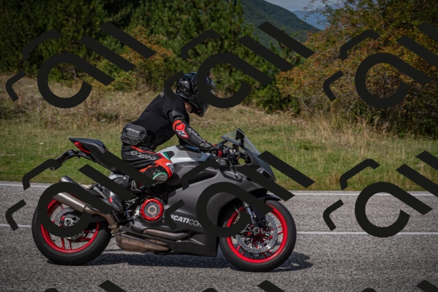 20250907124153-_5005176_am_