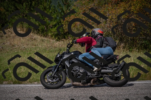 20250907124347-_5005198_am_