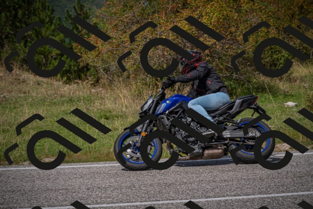 20250907124410-_5005218_am_