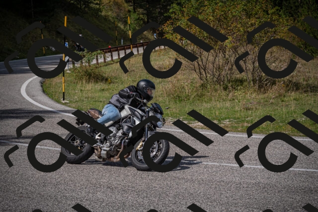 20250907124942-_5005294_am_