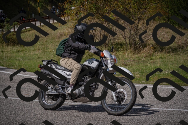 20250907125509-_5005477_am_