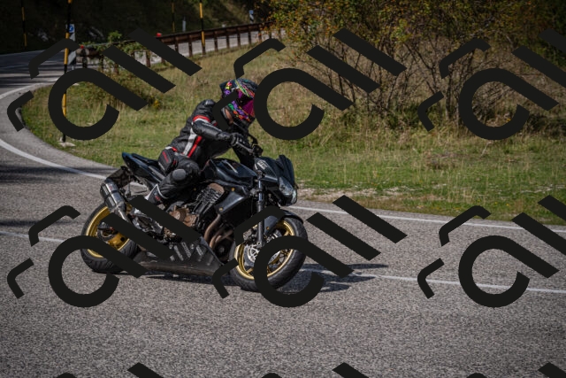 20250907125534-_5005501_am_