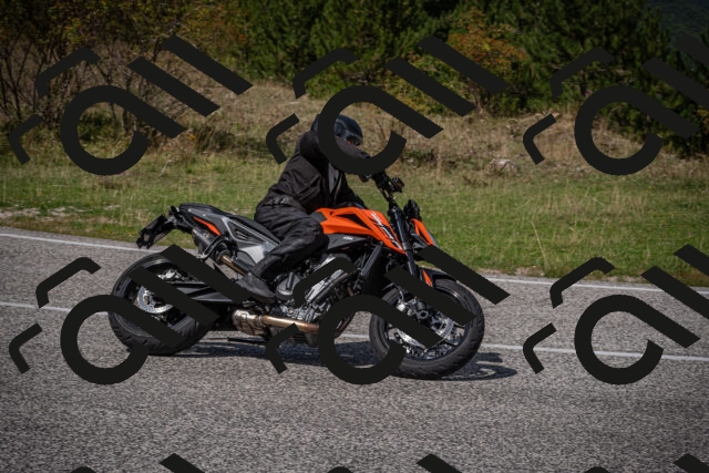 20250907130035-_5005558_am_