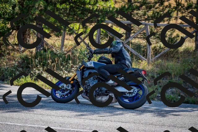 202509071001-DSC_1943_c2