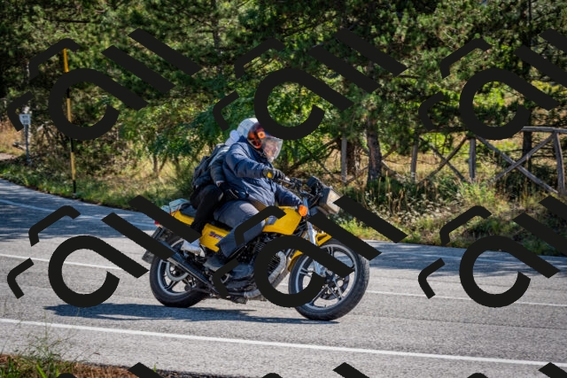 202509071003-DSC_1960_c2