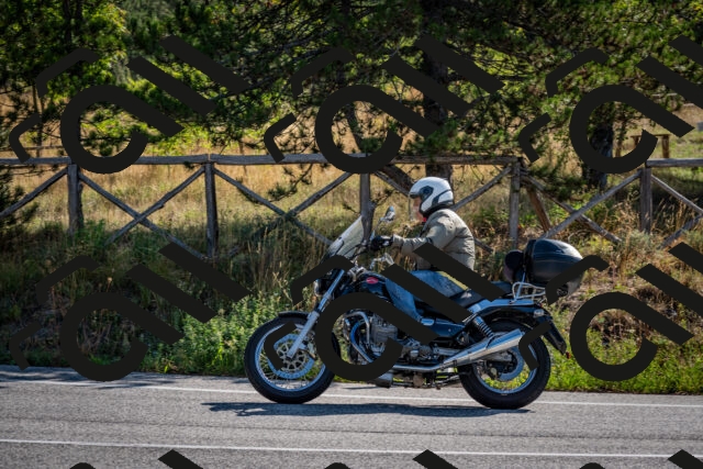 202509071006-DSC_1962_c2