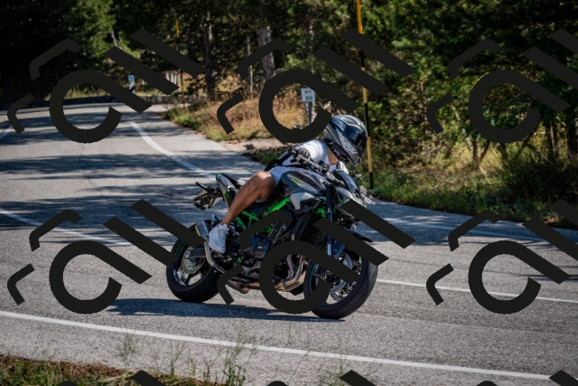 202509071008-DSC_1964_c2