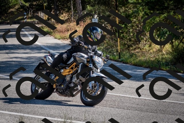 202509071008-DSC_1966_c2