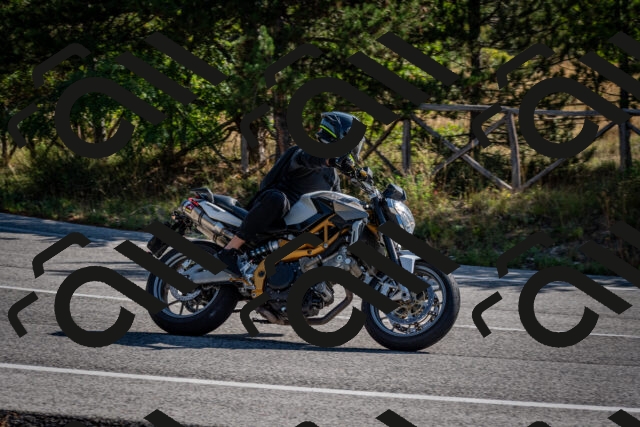 202509071008-DSC_1967_c2