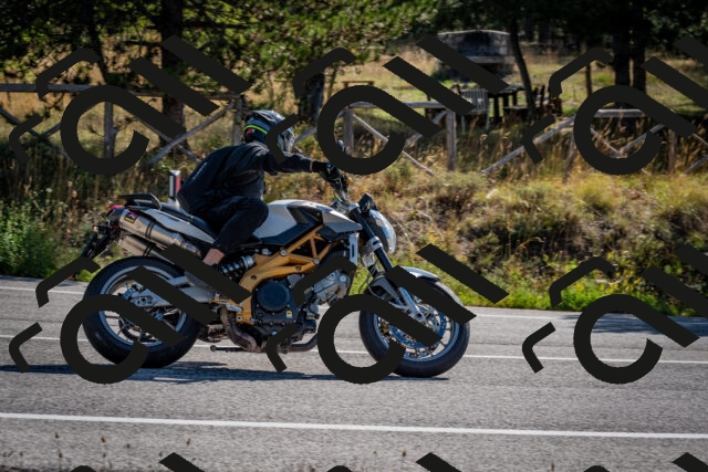 202509071008-DSC_1968_c2