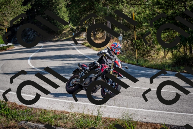 202509071008-DSC_1973_c2