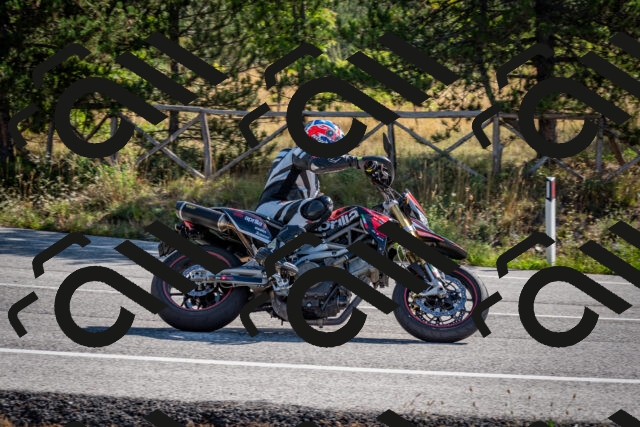 202509071008-DSC_1974_c2