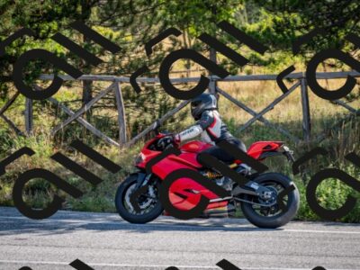 202509071008-DSC_1978_c2