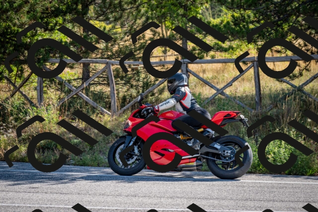 202509071008-DSC_1978_c2