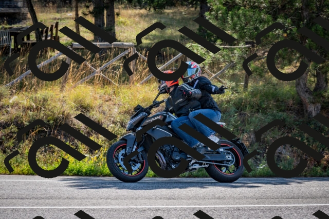 202509071008-DSC_1980_c2