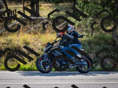 202509071008-DSC_1980_c2