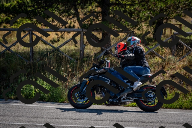 202509071008-DSC_1981_c2