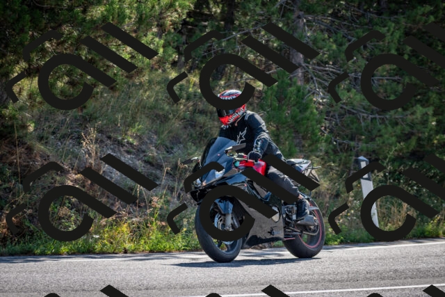 202509071008-DSC_1982_c2