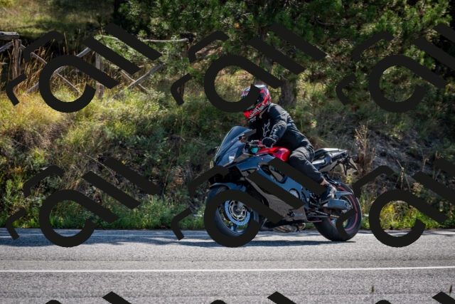 202509071008-DSC_1983_c2