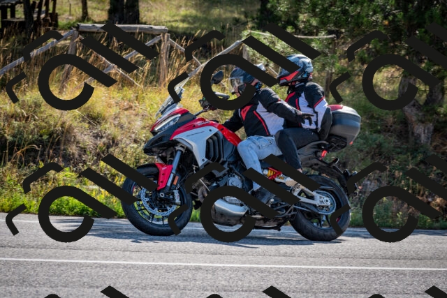 202509071008-DSC_1985_c2