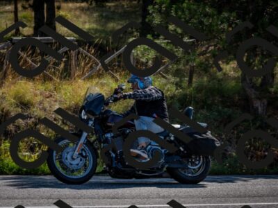 202509071009-DSC_1988_c2