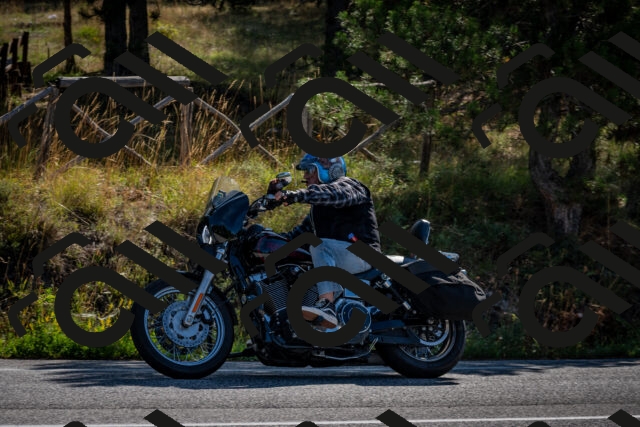 202509071009-DSC_1988_c2