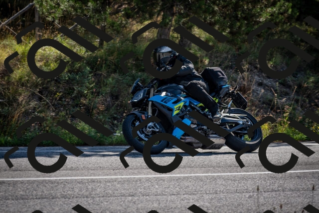 202509071011-DSC_1991_c2