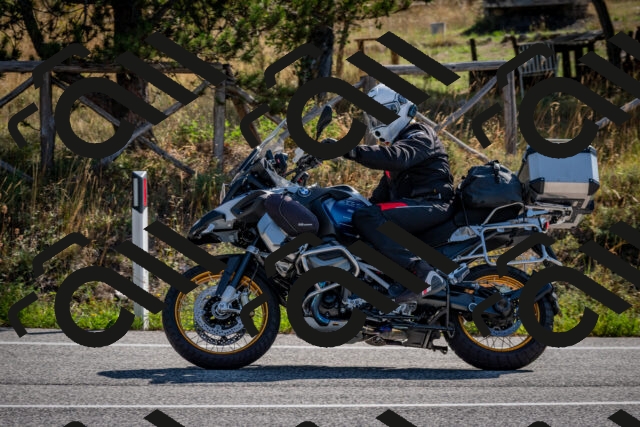 202509071013-DSC_1998_c2