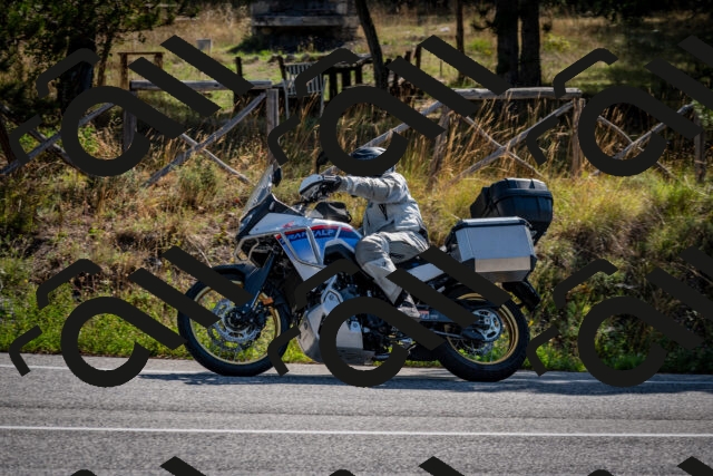 202509071014-DSC_2009_c2