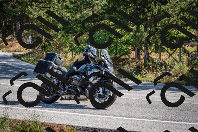 202509071014-DSC_2015_c2