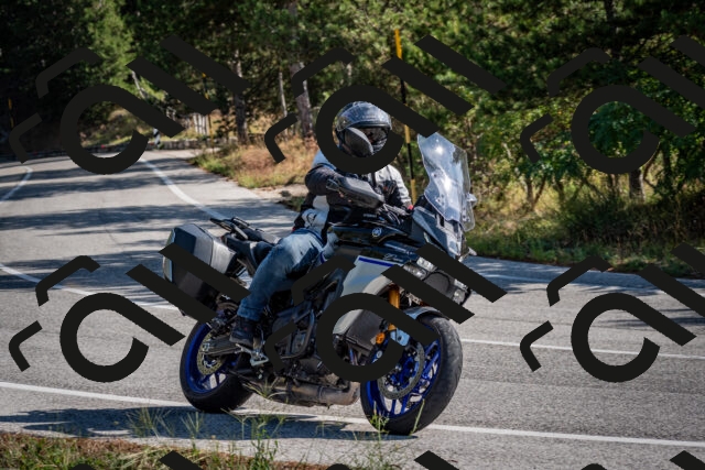 202509071014-DSC_2018_c2