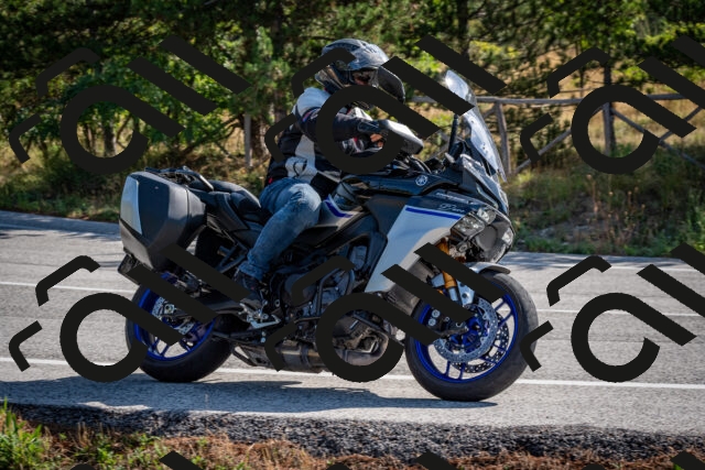 202509071014-DSC_2019_c2