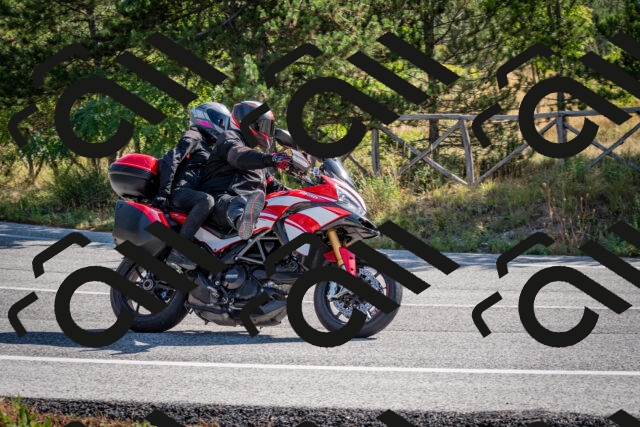 202509071014-DSC_2021_c2