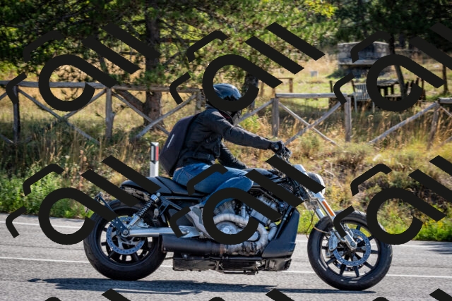 202509071014-DSC_2022_c2