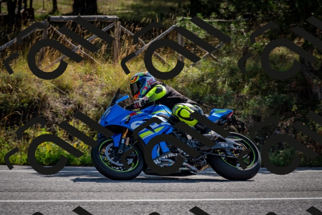 202509071018-DSC_2061_c2