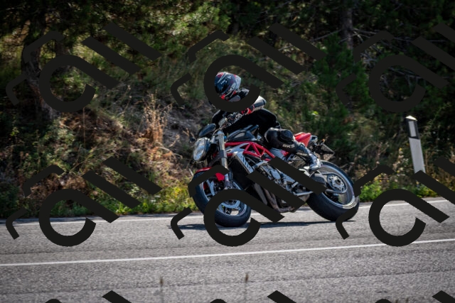 202509071018-DSC_2063_c2